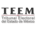 Tribunal Electoral del Estado de México