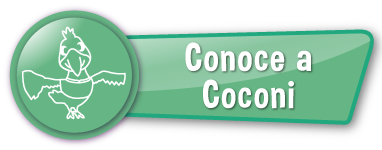 Coconi