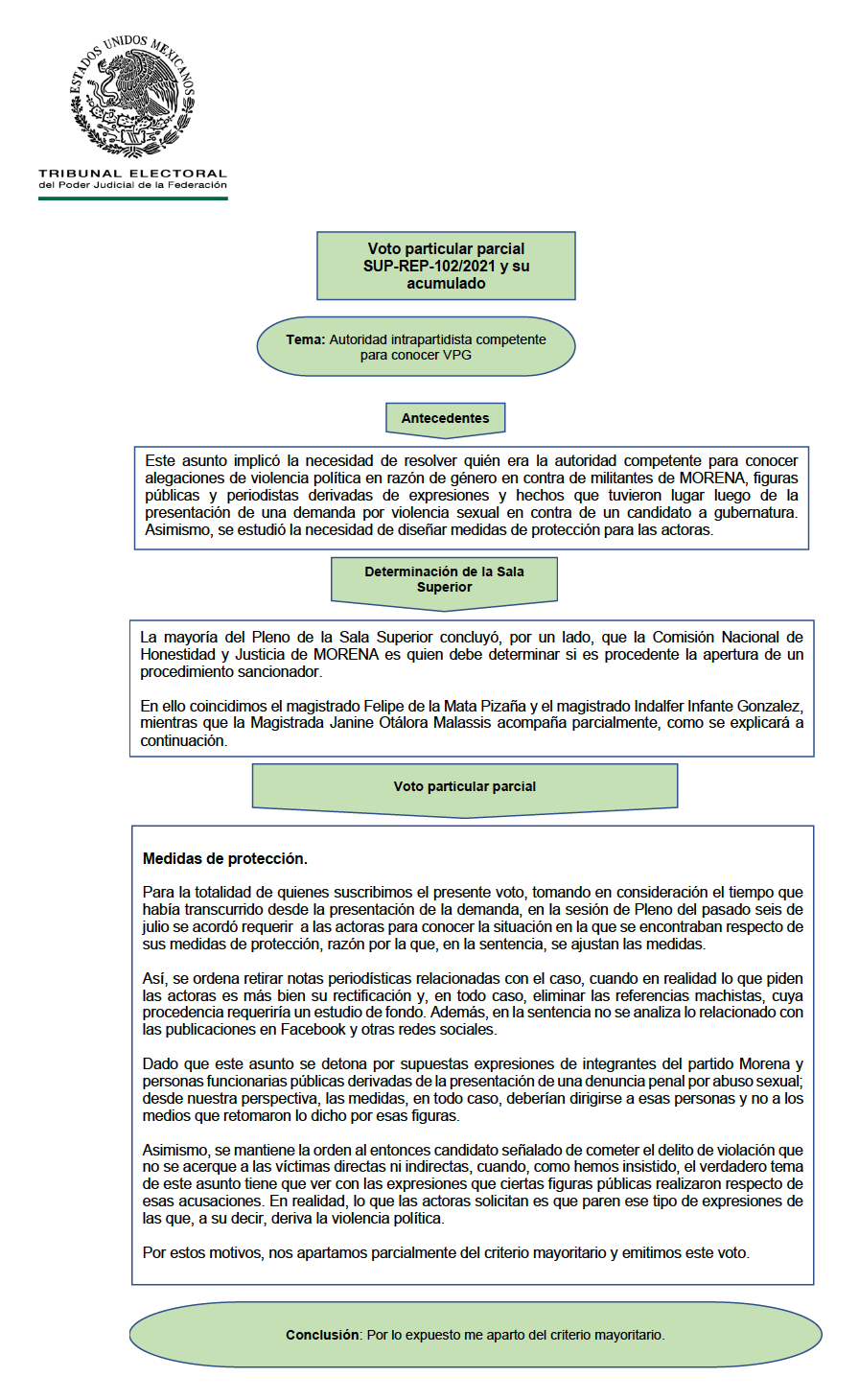 VOTO PARTICULAR
