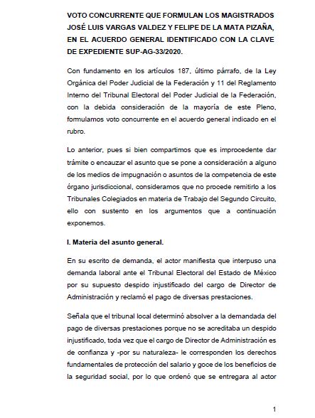 VOTO CONCURRENTE 