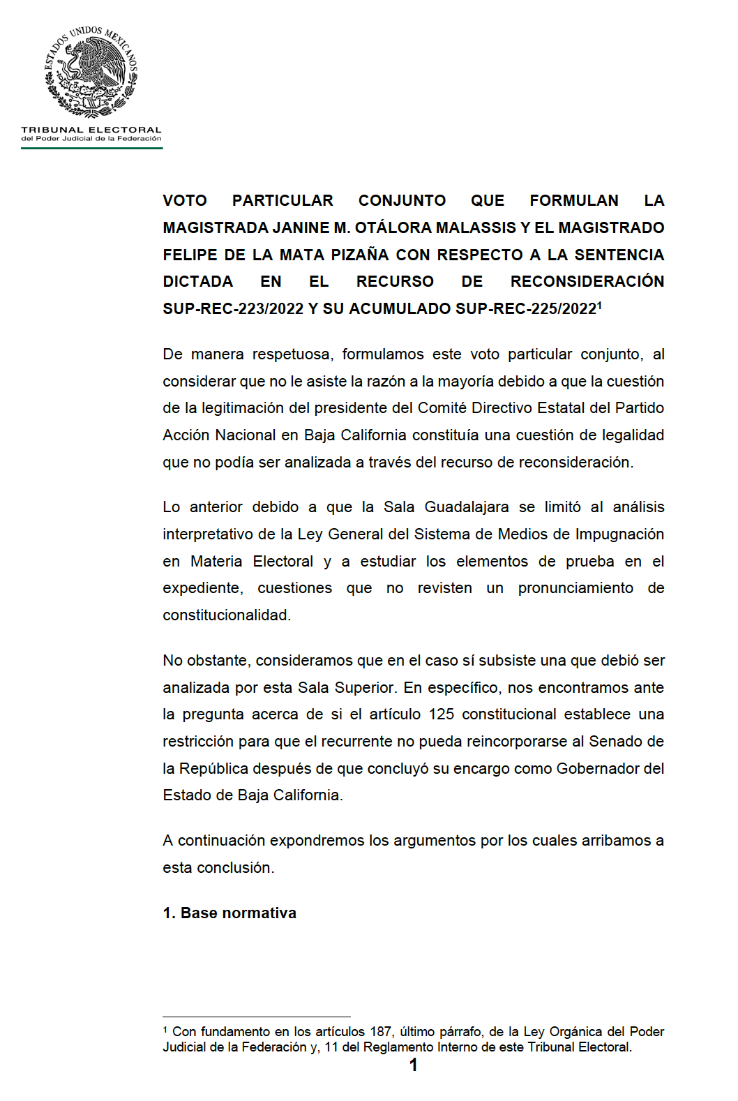 VOTO PARTICULAR