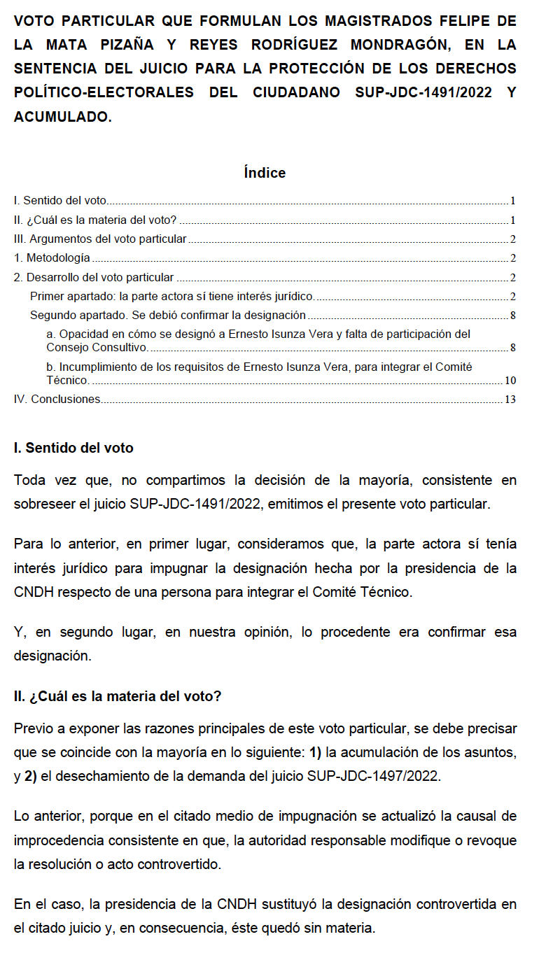 Voto Particular