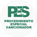 Procedimiento especial sancionador (PES)