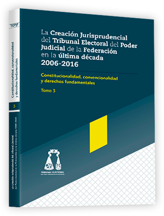Imagen del Tomo Constitucionalidad, convencionalidad y derechos fundamentales