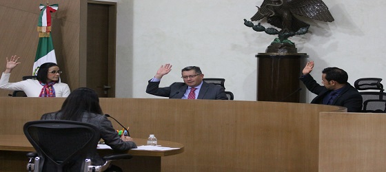 Se resuelve respecto de acciones afirmativas para postulación de candidaturas por el PRD y postulación a regiduría de integrante de comunidad indígena en Guerrero