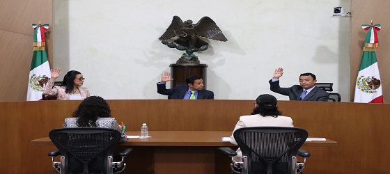 SRCDMX determina que el TEEM debe analizar bajo una perspectiva intercultural la impugnación relacionada con la autodeterminación del municipio indígena de Xoxocotla