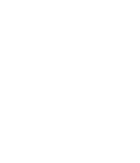 Estructura orgánica