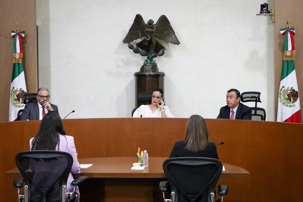 SRCDMX revoca parcialmente resolución del INE relativa a la revisión de los informes para la obtención de apoyo de la ciudadanía a una candidatura independiente a la presidencia municipal de San Martín Texmelucan, Puebla