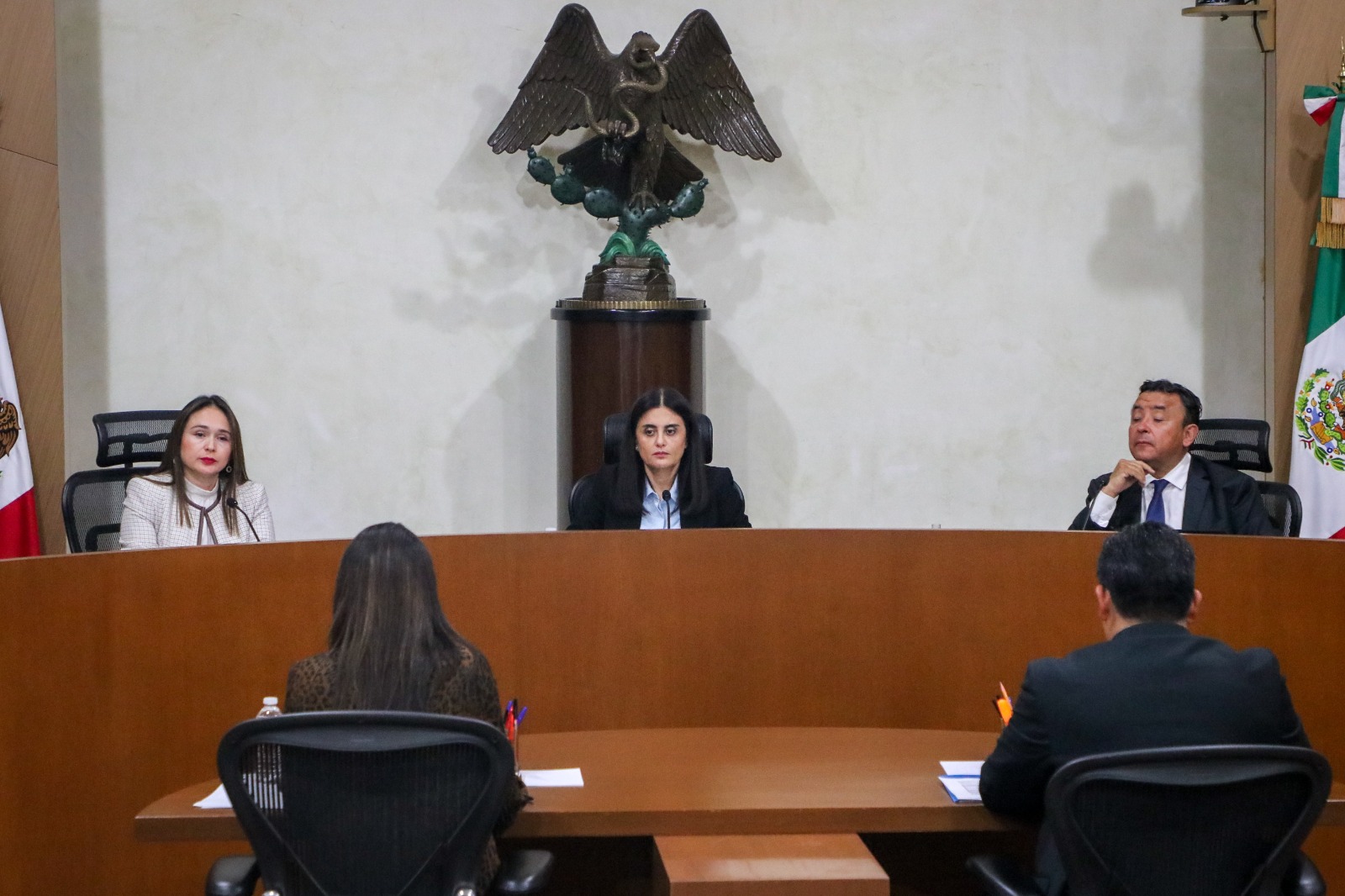 Sala Regional Ciudad de México del TEPJF resuelve diversos recursos de apelación en materia de fiscalización