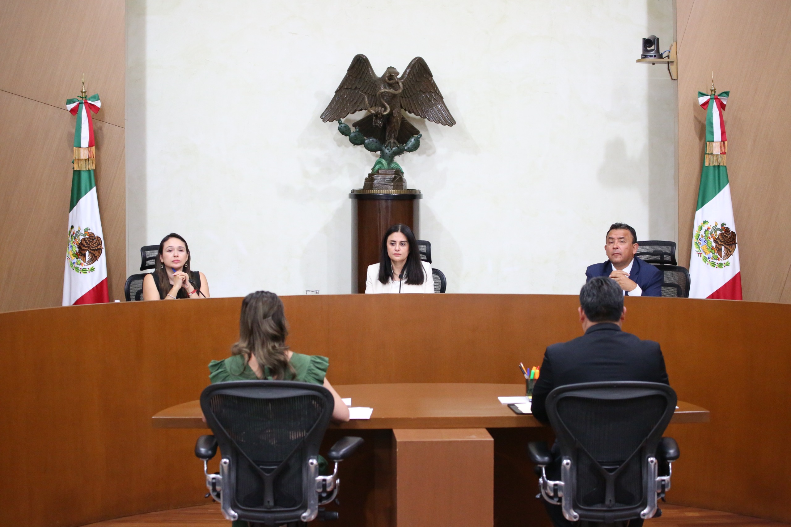 Confirma Sala Regional sentencia relacionada con el registro de partido pol&iacute;tico local en la Ciudad de M&eacute;xico