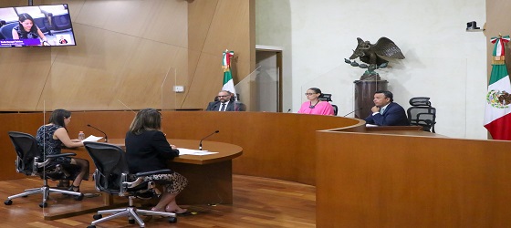 SRCDMX determina la imposibilidad de cumplimiento de sentencia del TEEM relativa a la restitución de la persona coordinadora del Grupo Parlamentario de MORENA en el congreso estatal