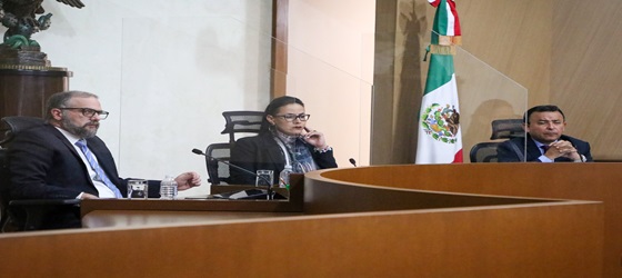 SRCDMX confirma la resolución incidental del TECDMX relacionada con la convocatoria a la elección de una autoridad tradicional en Xochimilco