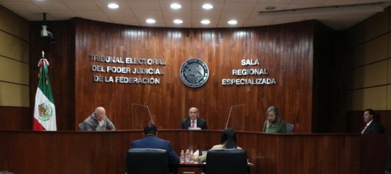 EL TITULAR DEL EJECUTIVO FEDERAL VULNERÓ PRINCIPIOS CONSTITUCIONALES CON EXPRESIONES EMITIDAS EN DOS CONFERENCIAS MATUTINAS: SALA ESPECIALIZADA