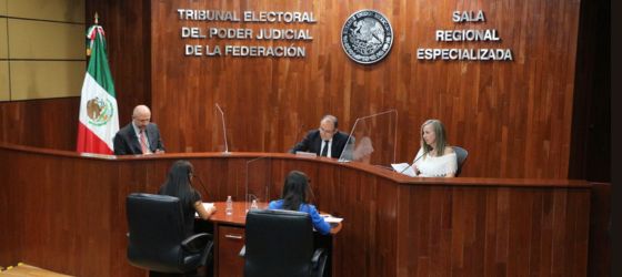 EL TITULAR DEL EJECUTIVO FEDERAL COMETIÓ VPG CONTRA UNA SERVIDORA PÚBLICA CON EXPRESIONES VERTIDAS EN CONFERENCIAS MATUTINAS: SALA ESPECIALIZADA