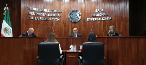TITULAR DEL EJECUTIVO FEDERAL VULNERÓ PRINCIPIOS CONSTITUCIONALES CON EXPRESIONES EMITIDAS EN CONFERENCIA DE PRENSA: SALA ESPECIALIZADA