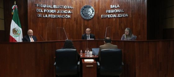 DOS PERSONAS COMETIERON VIOLENCIA POLÍTICA DE GÉNERO CONTRA UNA MUJER SERVIDORA PÚBLICA EN EL MARCO DE LA DISCUSIÓN SOBRE REFORMA ENERGÉTICA: SALA ESPECIALIZADA