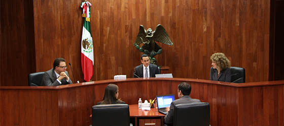 LA SALA REGIONAL ESPECIALIZADA AMONESTA AL PRD POR LA DIFUSIÓN DEL SPOT “QUEREMOS SER TU VOZ”
