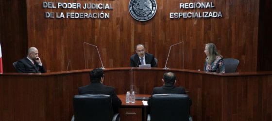 EL EJECUTIVO FEDERAL VULNERÓ PRINCIPIOS CONSTITUCIONALES:  SALA ESPECIALIZADA