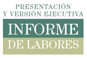INFORME DE LABORES 2013-2014 (EJECUTIVO)