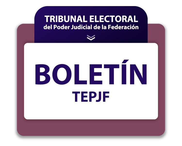 EL SISTEMA DE MEDIOS DE IMPUGNACION DEBE SIMPLIFICARSE Y EXPEDIRSE UNA AUTÉNTICA LEY PROCESAL ELECTORAL: GALVÁN RIVERA 