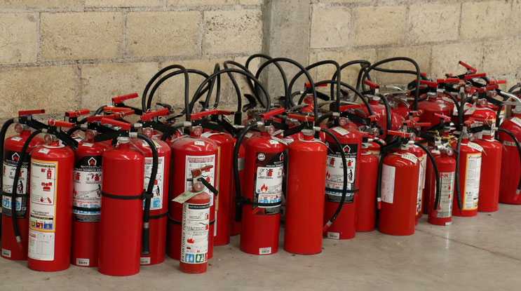 Imagen Galería