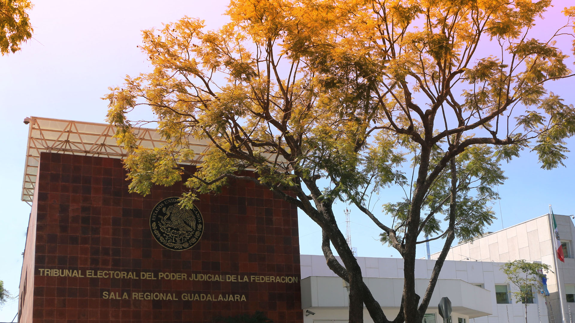 Sala Regional Especializada
