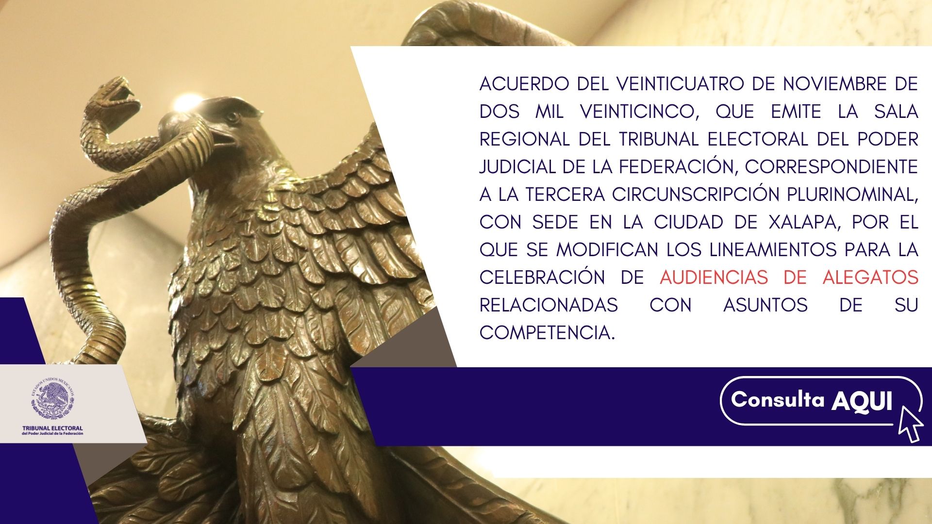 Audiencias de Alegatos